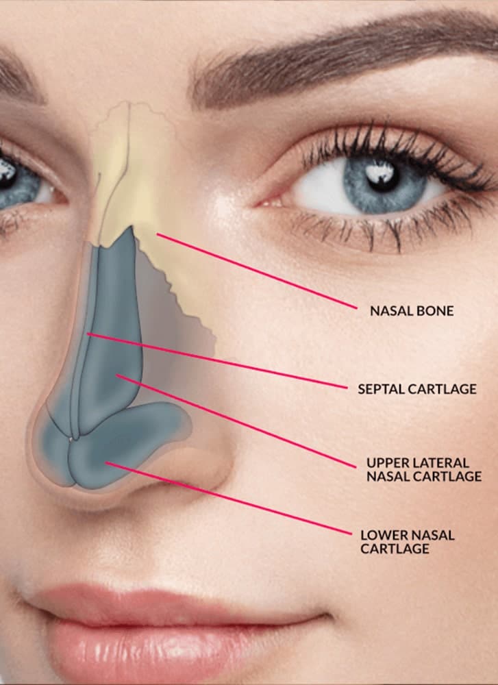 https://essencaclinic.com/wp-content/uploads/2024/12/Rhinoplasty-min.jpg
